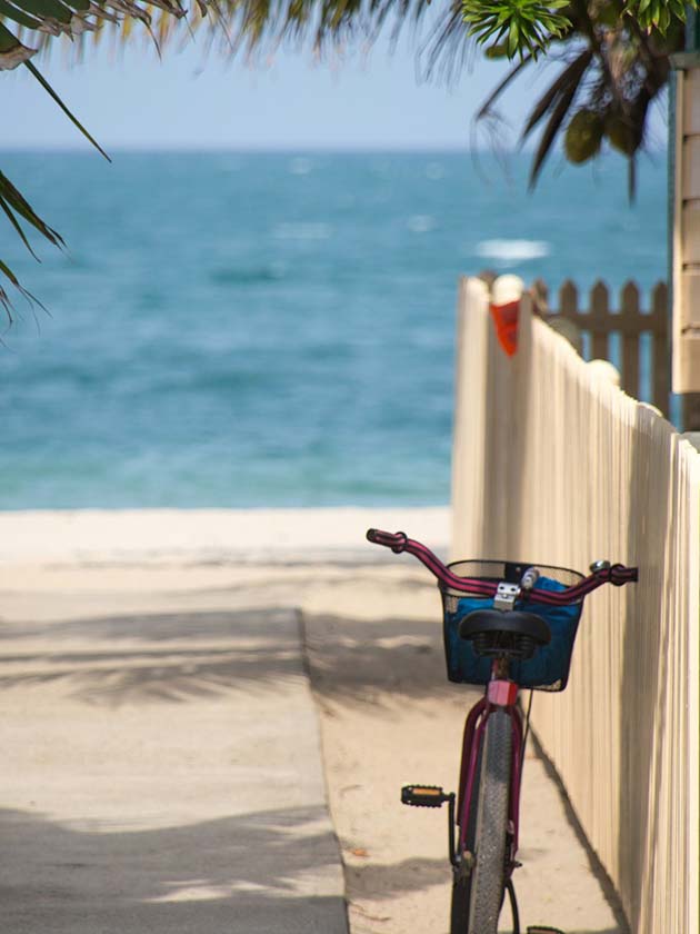 A bicycle parked along a sandy trail leading to the ocean.