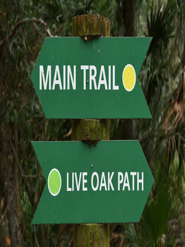 A wooden bridge lined with trees at the Boyd Hill Nature Preserve in St. Petersburg, Florida, USA, near ELS Language Centers.