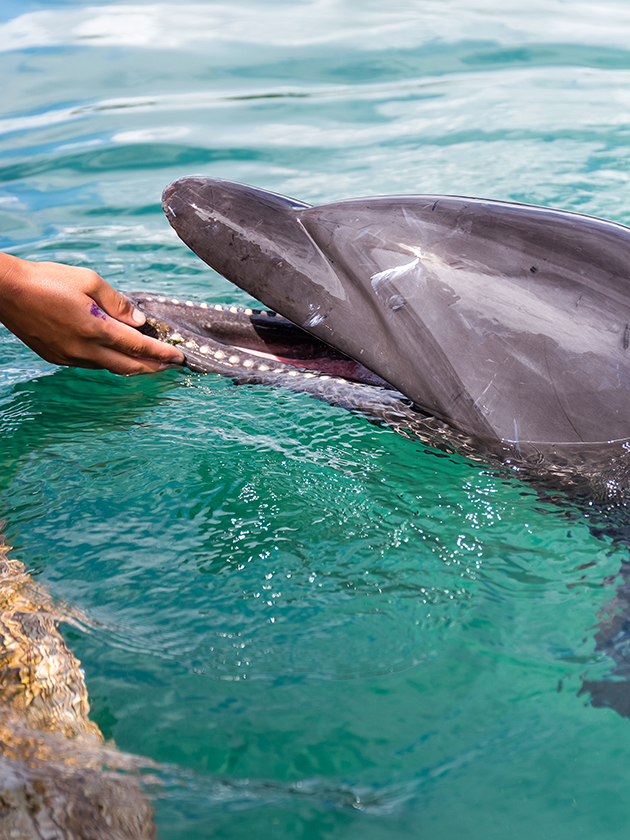 Clearwater Aquarium