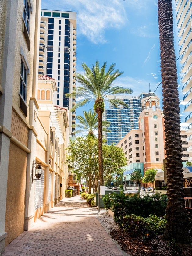 A palm tree-lined street in the City of St. Petersburg, Florida, USA, near ELS Language Centers.